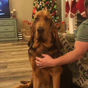 Meet your Posher, Kari